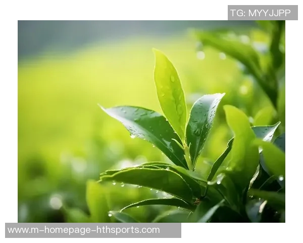 北京莱克西施绿色体育俱乐部有限公司助力绿色运动理念推广与健康生活方式倡导